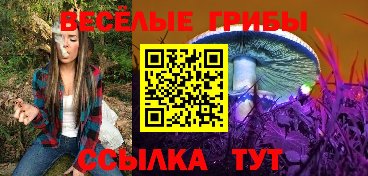 Чехов  Псилоцибиновые грибы MAGIC MUSHROOMS  Галлюциногенные грибы мицелий  Вход с VPN 